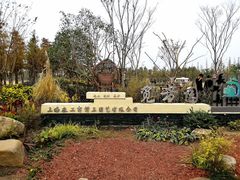 -上海长兴岛郊野公园