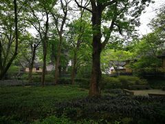 -法云安缦酒店