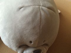 -PAWTOY爪e玩偶店(天兴罗斯福店)