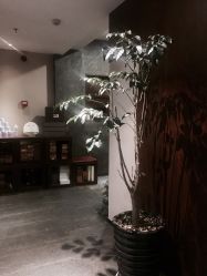 点击看大图 -禾颜社·精致美容