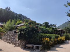 -幽岚山·童话森林