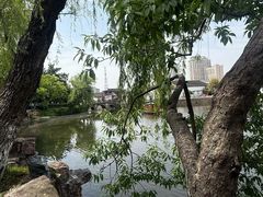 -水绘园