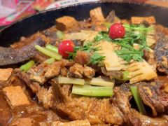 -老板恋上鱼(恒隆广场店)