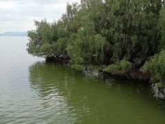 -深圳湾公园(南山区)