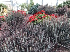 -南通洲际绿博园