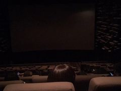 放映厅-武商摩尔影城(国广IMAX激光店)