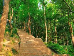 -紫金山山顶公园