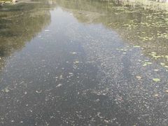 -满都海公园