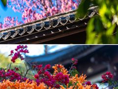 -天龙八部武侠城