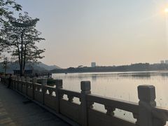-顺峰山公园