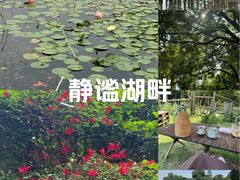 -白鹭湾湿地公园