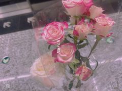 -大龙山(地铁站)