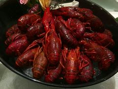冰镇龙虾-新日月育才大酒店-中餐厅(环城北路店)