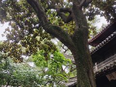 -天一阁博物院