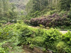 -紫云谷景区
