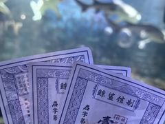 -烟台海昌鲸鲨海洋公园