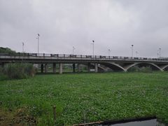 -长广溪湿地公园