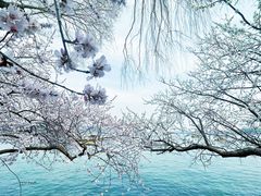 -颐和园
