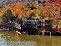 -白马涧龙池景区