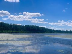 -塞罕坝国家级自然保护区