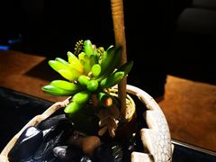 -魔厨私房菜(观音桥店)