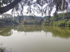 景点-火炉山森林公园
