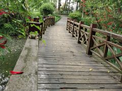 -桤木河湿地公园