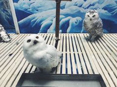 -成都浩海立方海洋公园