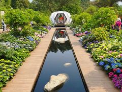 -深圳仙湖植物园