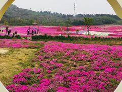 -巢湖姥山岛