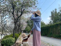 -南丰汇(新港东路店)