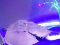 -欧亚达商业广场(红桥店)