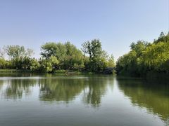 -溱湖国家湿地公园