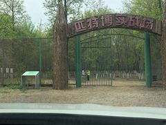 -顺鑫绿色度假村