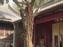 -罔极寺
