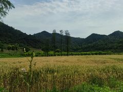 -东钱湖旅游度假区