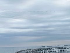 -星海湾跨海大桥