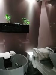 -史云逊养发护发