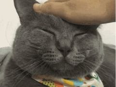 -虹梅食堂·爱蝦乃家