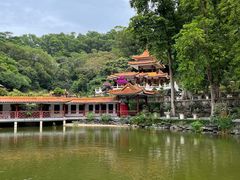 -深圳仙湖植物园