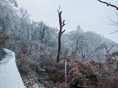 -紫金山山顶公园