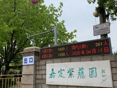 -嘉定紫藤园