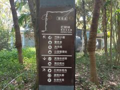 -深圳湾公园(南山区)
