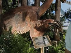 -陕西自然博物馆