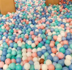 -卡通尼·Safari非洲探索乐园·生日会(金桥国际商业广场店)