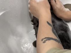 -爱洗澡的猫(望京店)