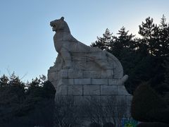 -帽儿山国家森林公园