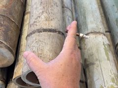 -一品烧农庄·佛山本地特色菜