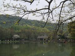 -八卦田遗址公园