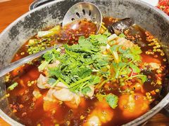-望京一号(菜户营店)